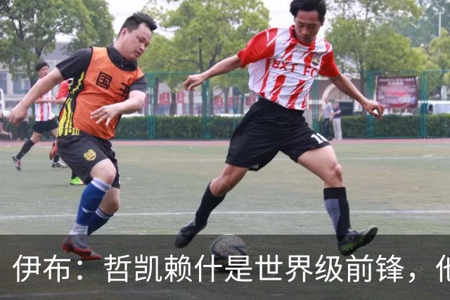 伊布：哲凯赖什是世界级前锋，他不进球应该问问他的队友