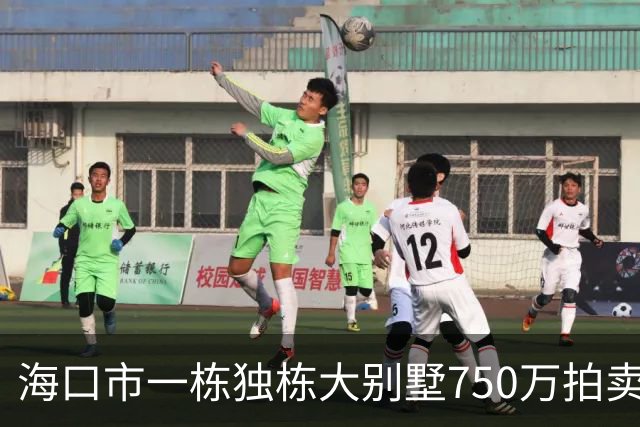 海口市一栋独栋大别墅750万拍卖，拍出1005万